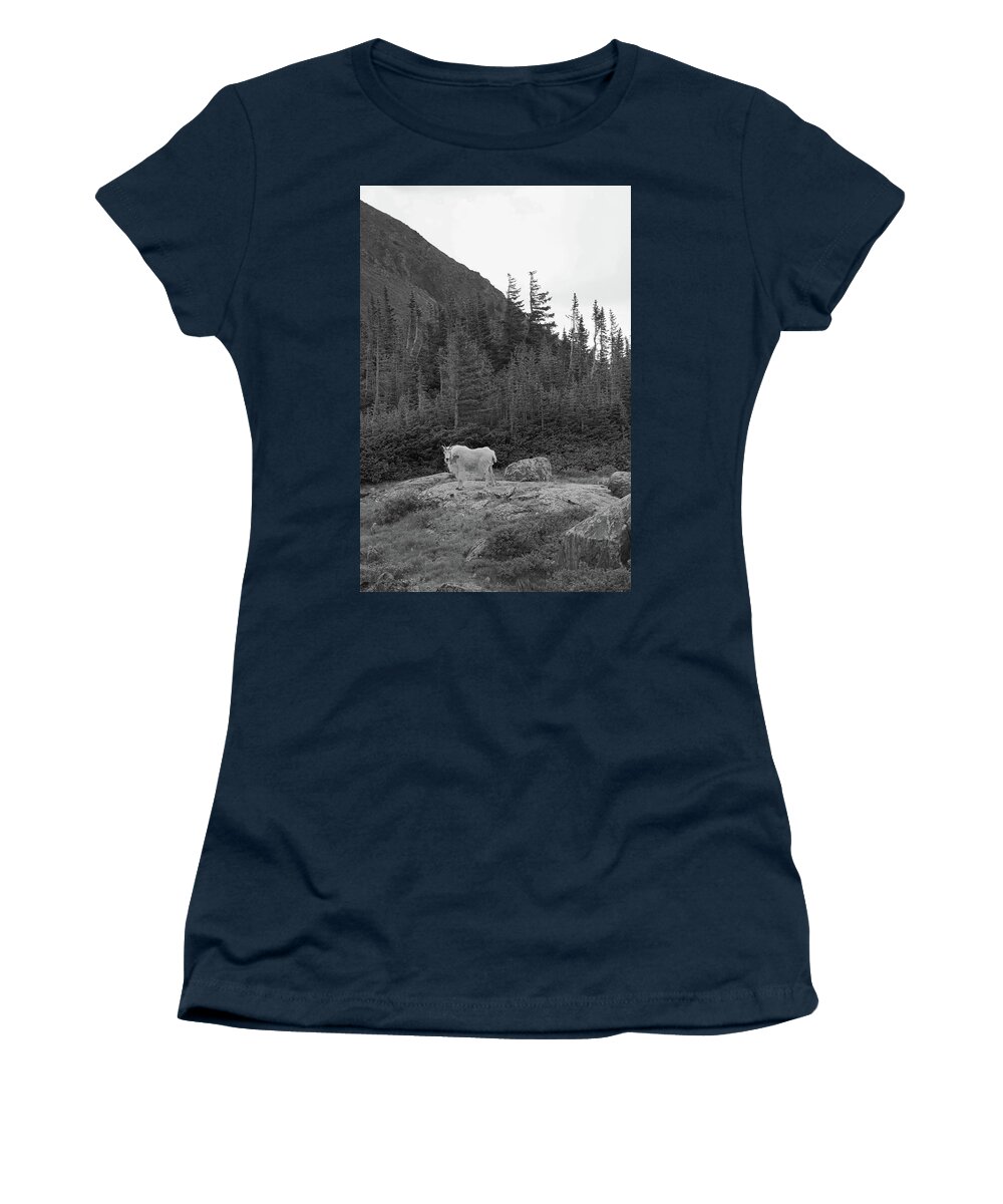 Women's T-Shirt featuring the photograph Mountain Goat at Mohawk by Ivan Franklin