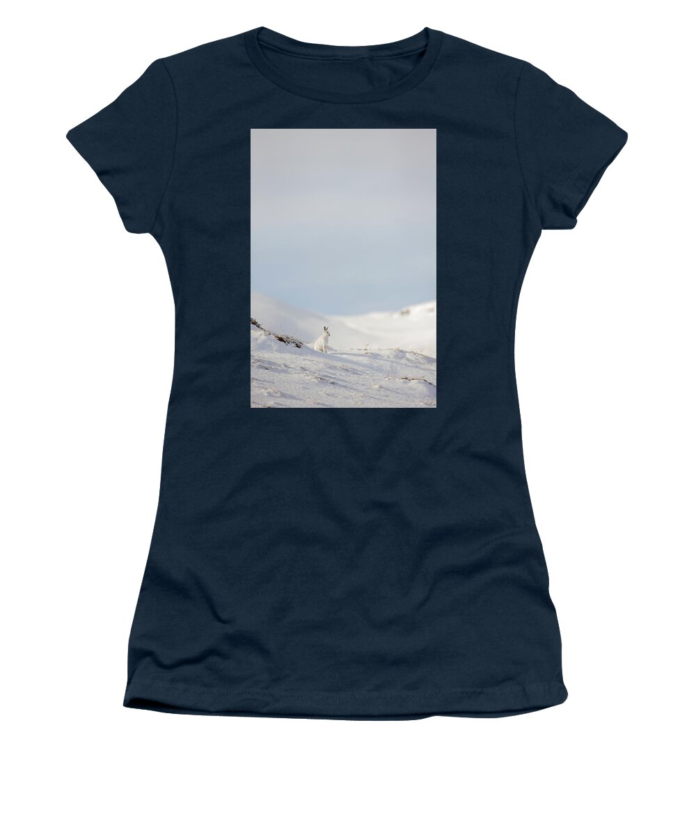 Mountain Women's T-Shirt featuring the photograph Mountain Hare On Hillside by Pete Walkden
