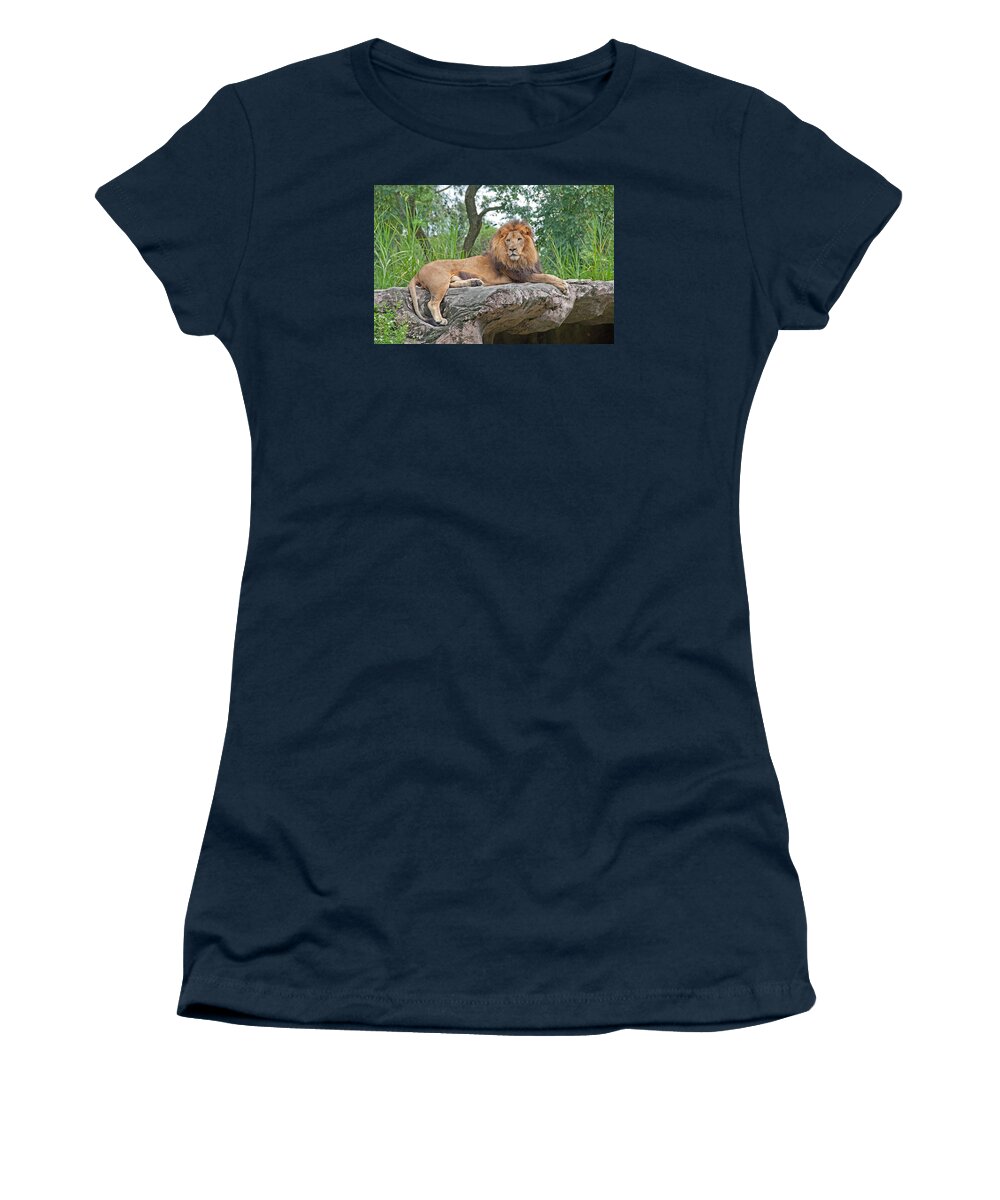 Lion Women's T-Shirt featuring the photograph Mr Majestic by John Black