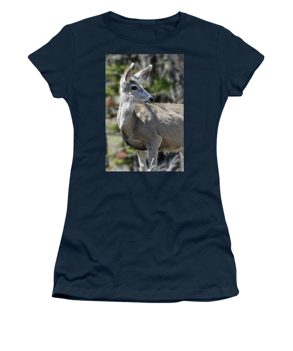 Mule Deer Women's T-Shirt featuring the photograph Mule Deer 5 by JustJeffAz Photography