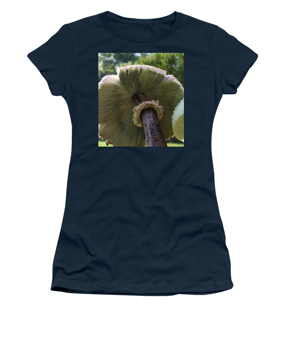 Plant Women's T-Shirt featuring the photograph Mushroom Down Under by Bruce Bley