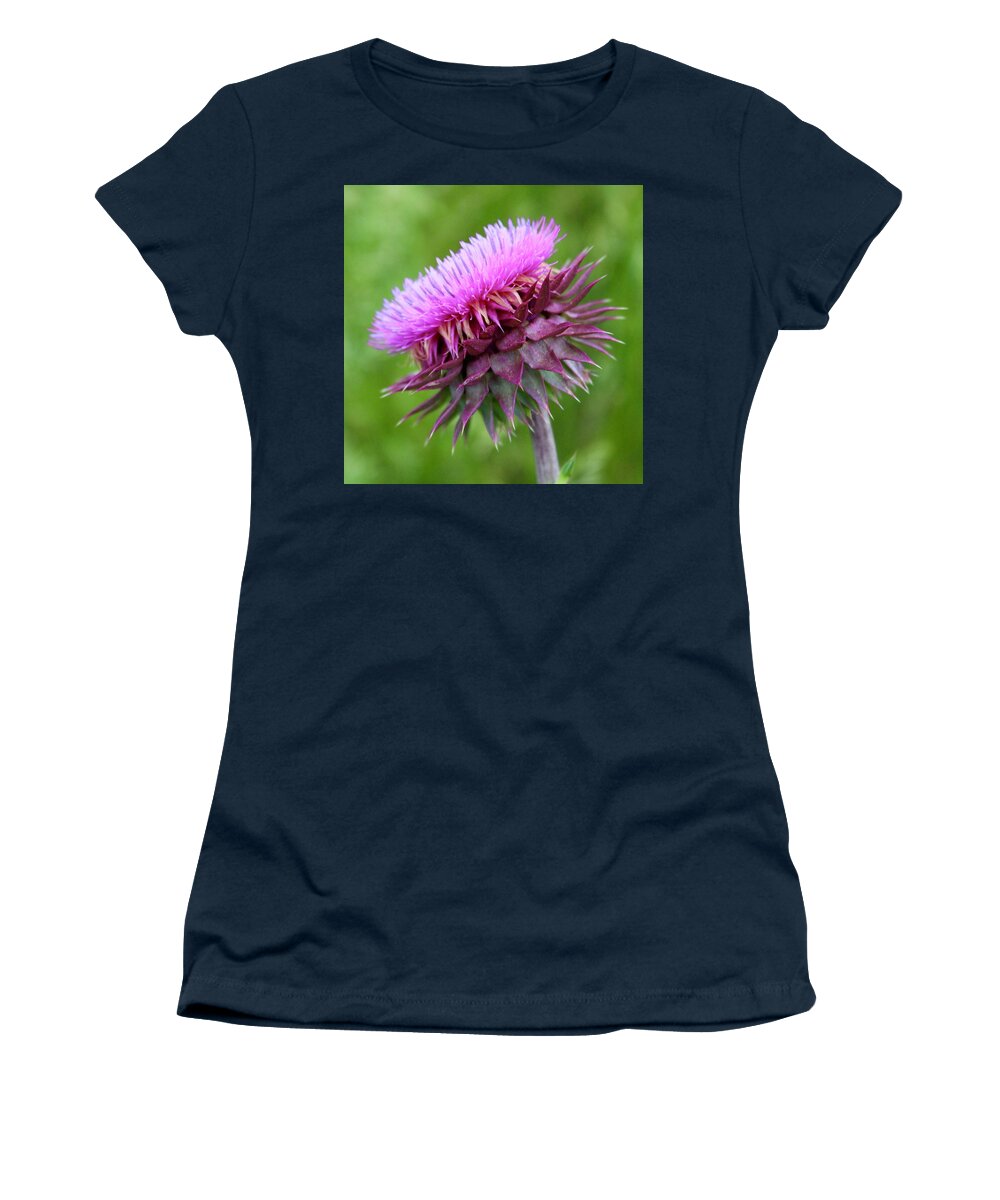 Photograph Women's T-Shirt featuring the photograph Musk Thistle Blooming by M E