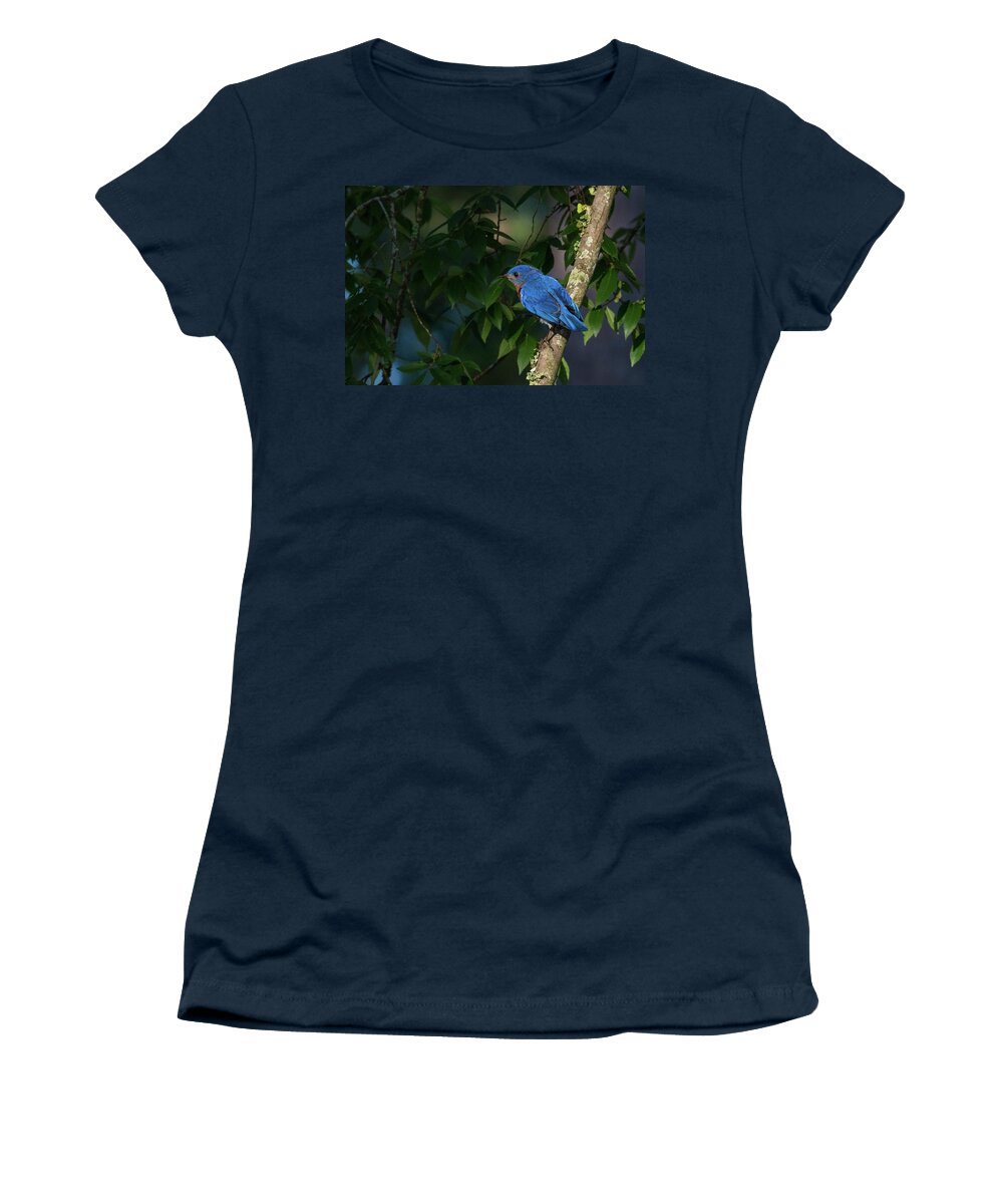 Bluebirds Women's T-Shirt featuring the photograph My Bluebird of Happiness by Linda Unger