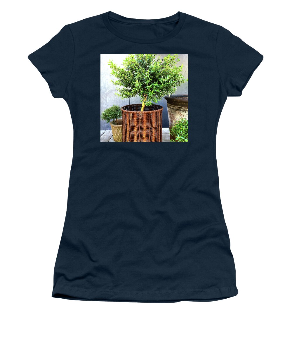 Myrtle Women's T-Shirt featuring the photograph Myrtle tree in a rusty basket by GoodMood Art