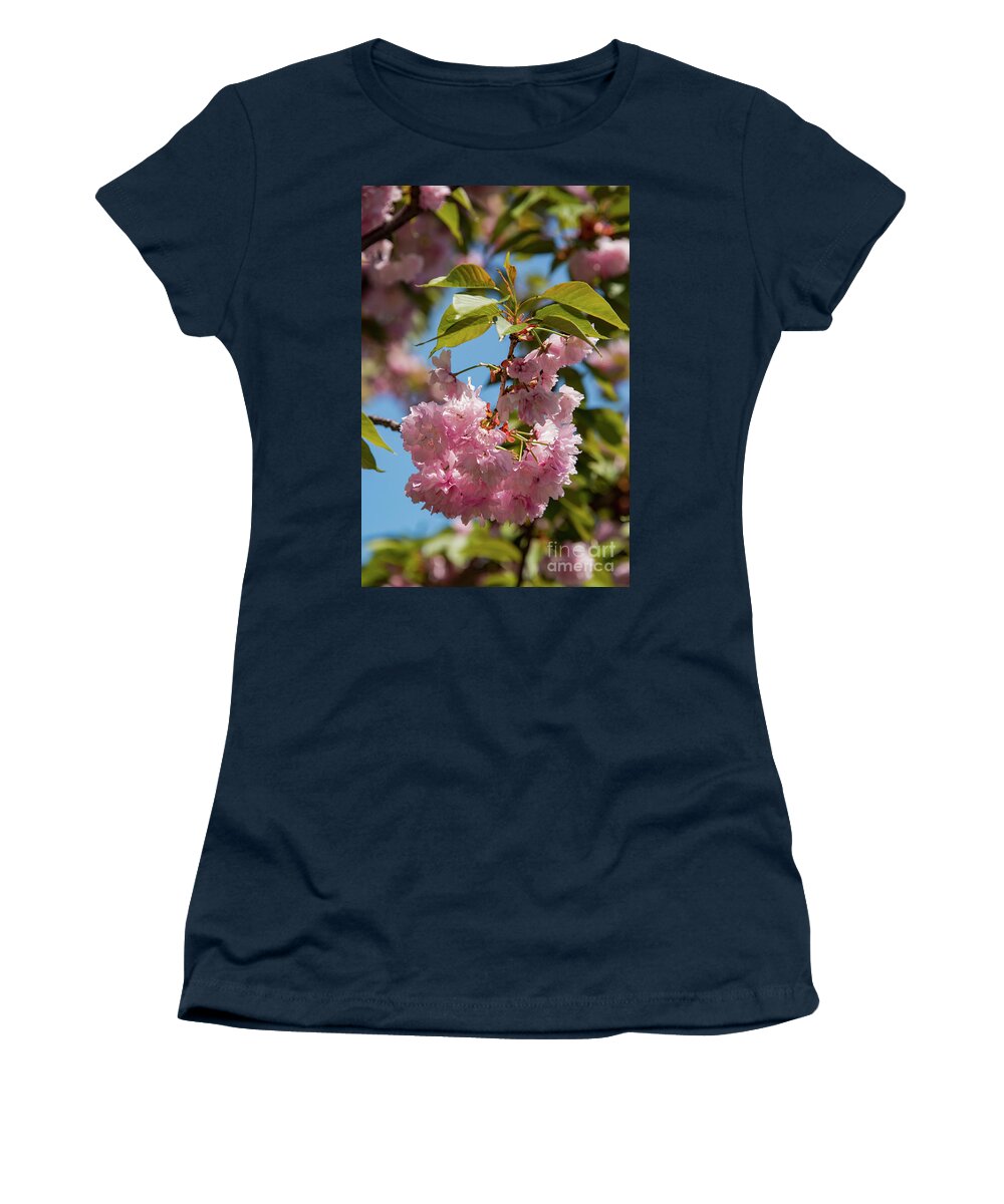 Hagerstown Women's T-Shirt featuring the photograph Nature in Pink by Bob Phillips