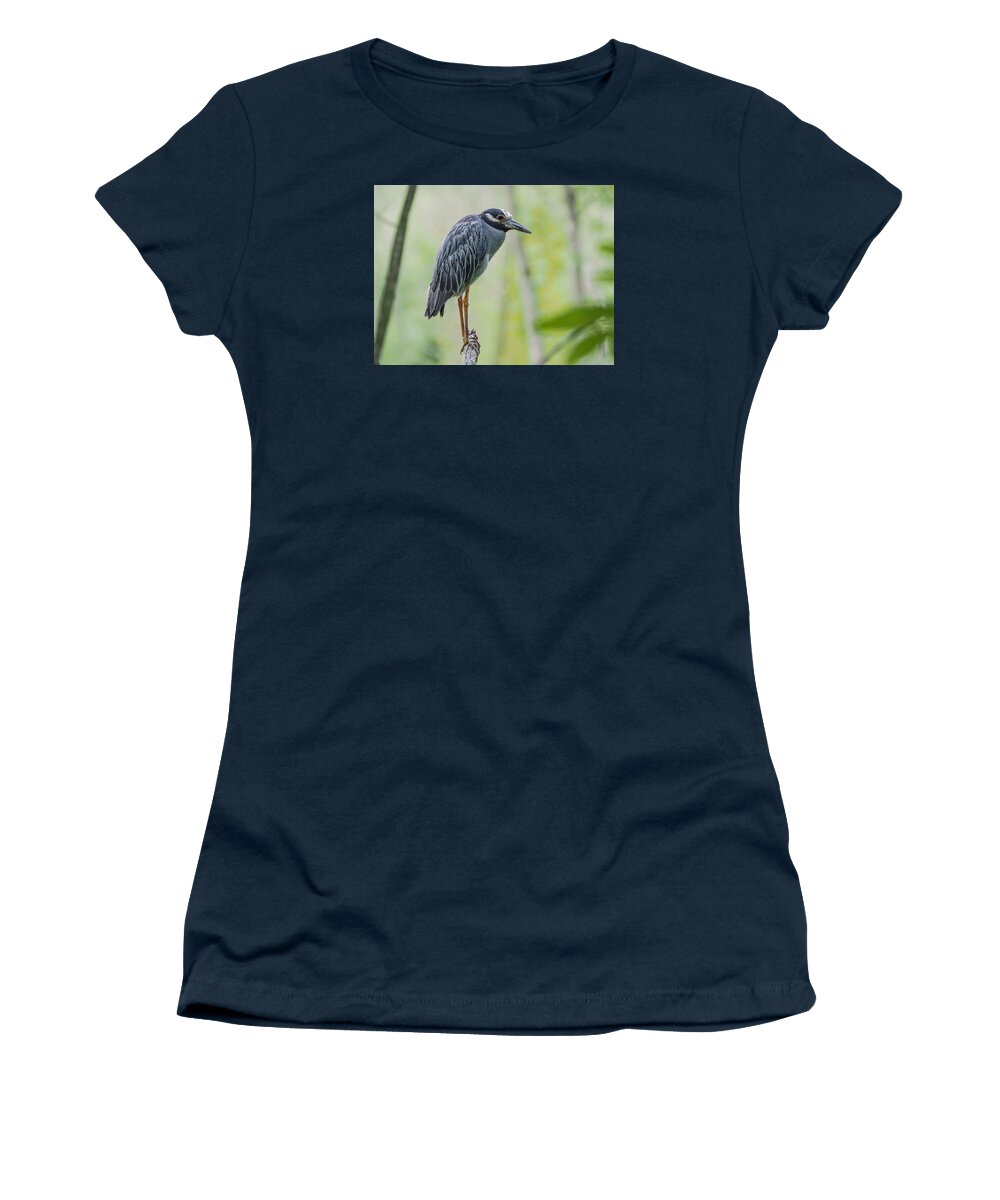 Heron Women's T-Shirt featuring the photograph Night Heron by Paula Ponath