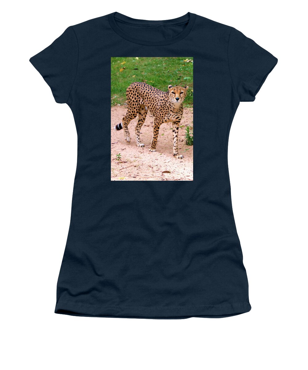 Animal Nature Women's T-Shirt featuring the photograph North African Cheetah by Stephen Melia