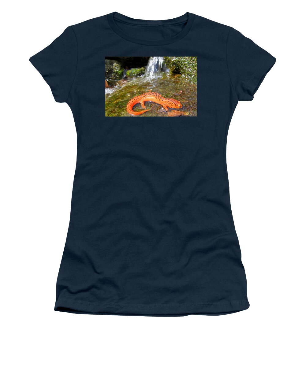 Northern Red Salamander Waterfalls Appalachian Mountains Amphibians Rare Nature Prints Pristine Water Quality Freshwater Ecosystem Natural Resource Protection Oldgrowth Forest Conservation Endangered Habitat Restoration Maryland Biodiversity Animal Prints Wildlife Prints Women's T-Shirt featuring the photograph Northern Red Falls by Joshua Bales