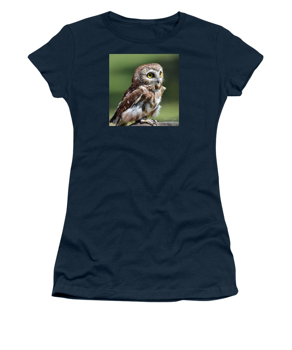 Owl Women's T-Shirt featuring the photograph Northern Saw Whet Owl by Amy Porter