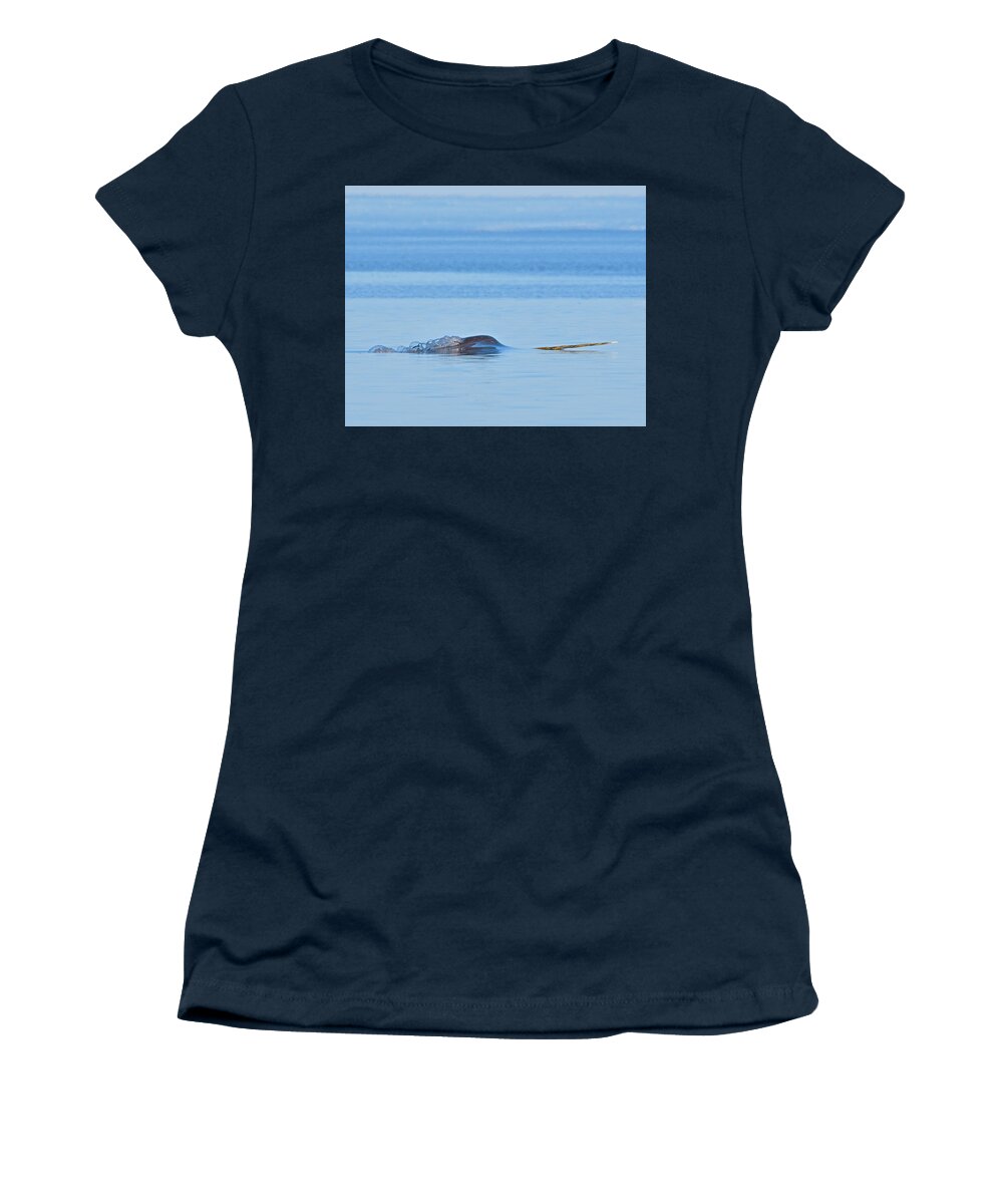 Narwhal Women's T-Shirt featuring the photograph Northern Unicorn by Tony Beck