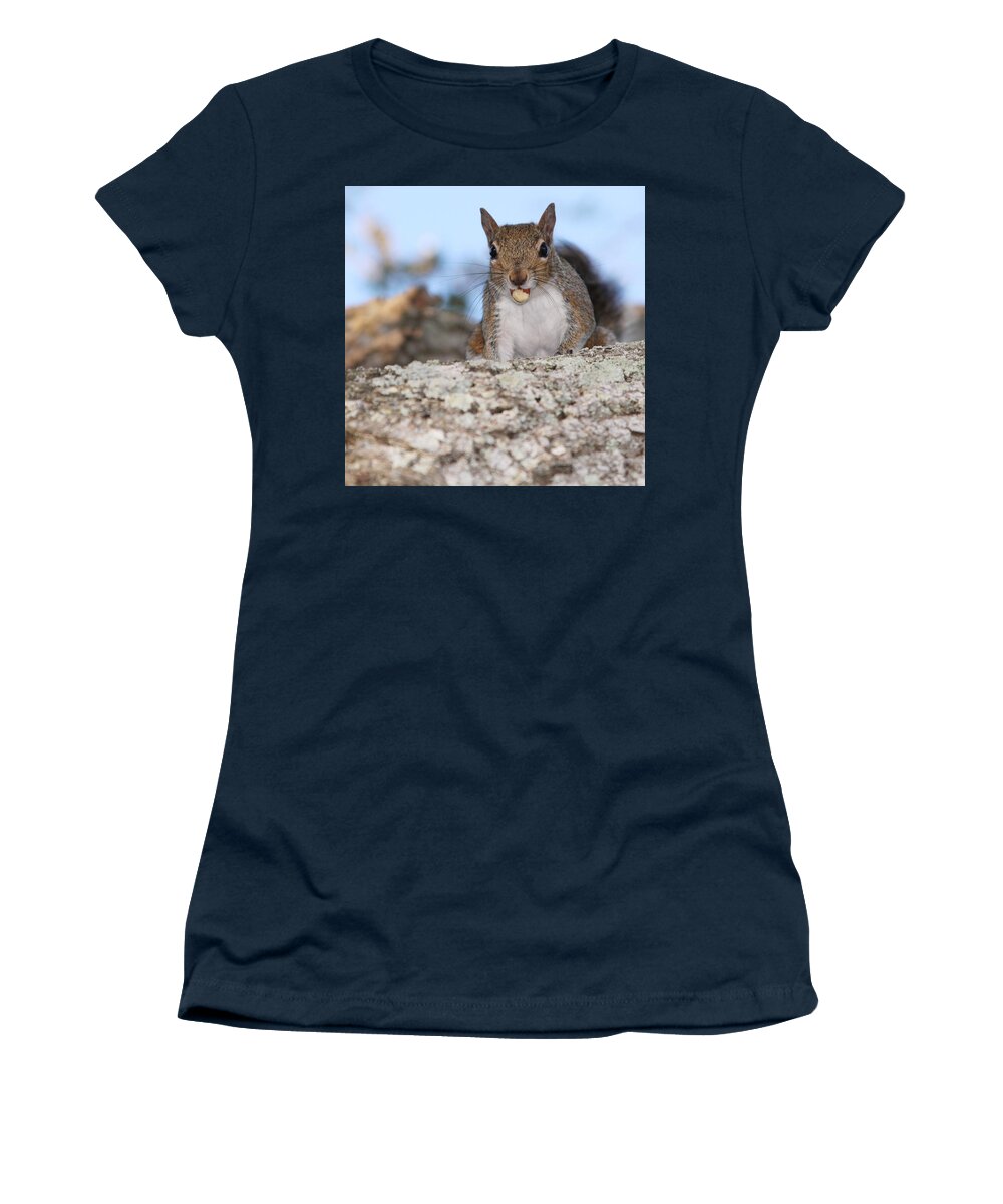 #wildlife #squirrel #tree #nature #nuts Women's T-Shirt featuring the photograph Nutty Squirrel by Donald Hazlett