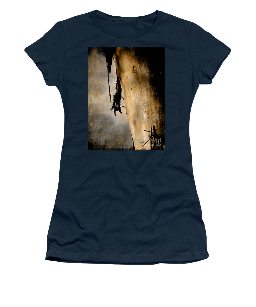 Wombat Forest Women's T-Shirt featuring the photograph Old Growth by Chris Armytage