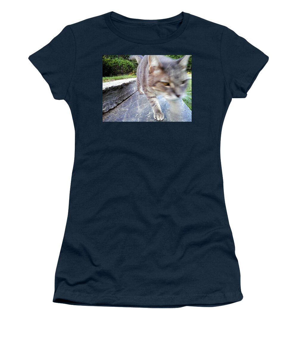 Cat Women's T-Shirt featuring the photograph On the Prowl by Christopher Brown