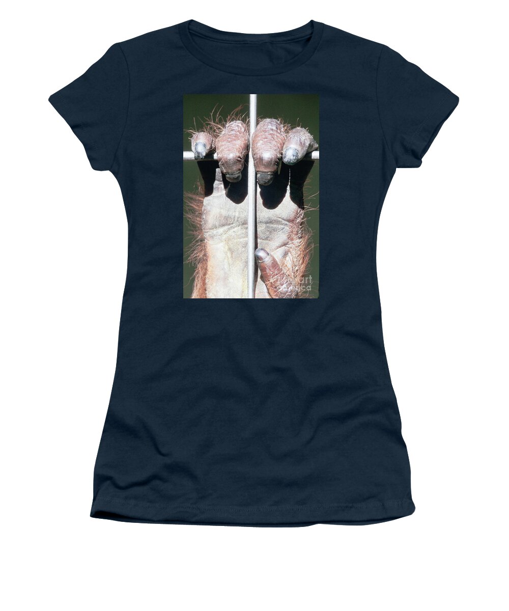 Animal Women's T-Shirt featuring the photograph Orangutan hand on zoo cage steel bar close-up by Stephan Pietzko