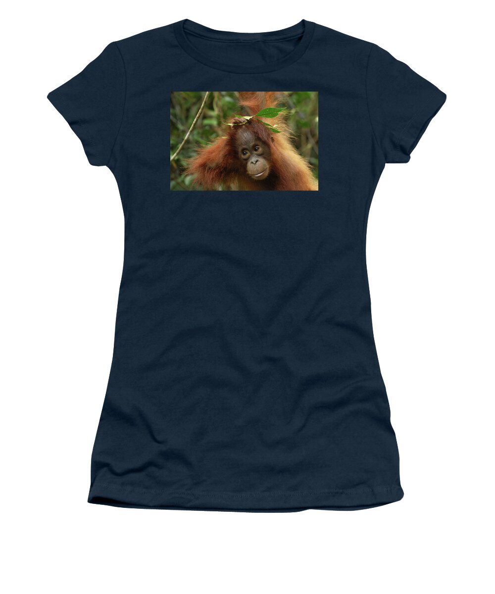 Mp Women's T-Shirt featuring the photograph Orangutan Pongo Pygmaeus Baby, Camp by Thomas Marent