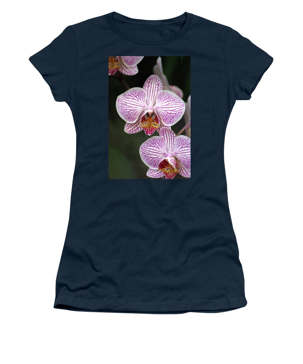 Flower Women's T-Shirt featuring the photograph Orchid 22 by Marty Koch