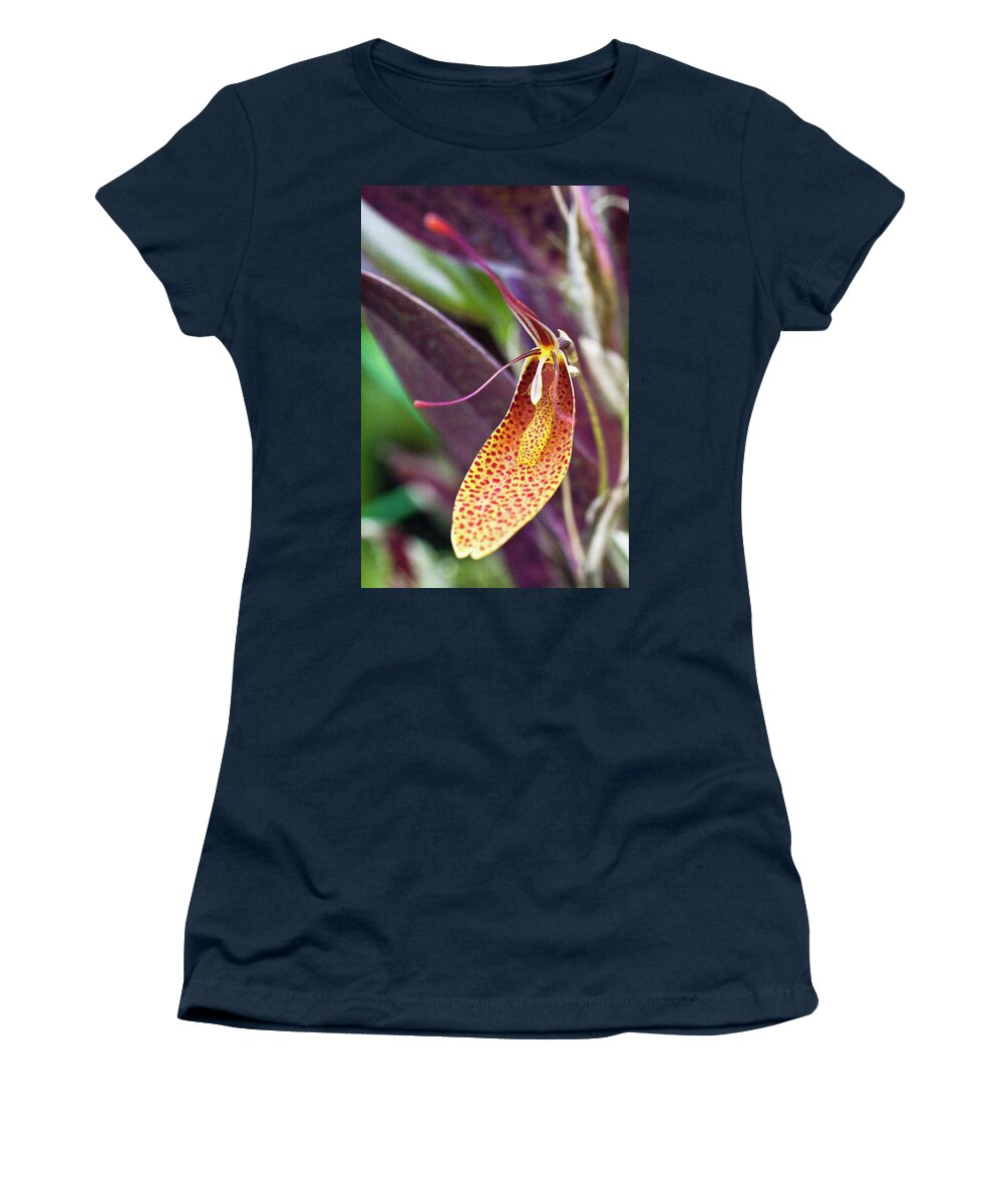 Orchid Women's T-Shirt featuring the photograph Orchid Flower - Restrepia radulifera by Heiko Koehrer-Wagner
