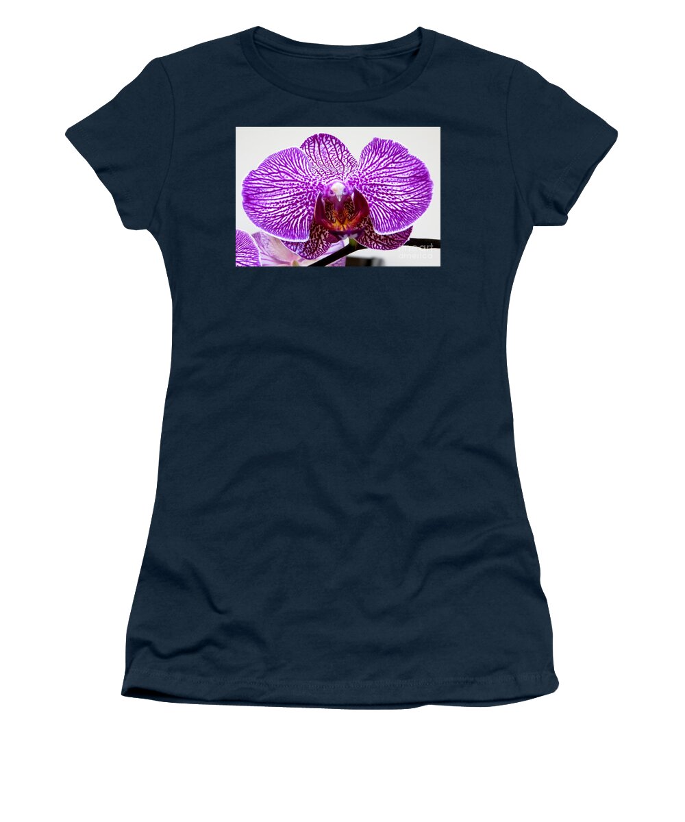 Orchid Women's T-Shirt featuring the photograph Orchid by Tim Townsend