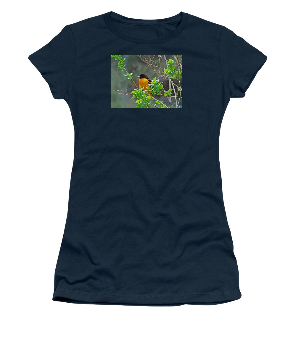 Oriole Women's T-Shirt featuring the photograph Oriole on the Lilac by Larry Capra