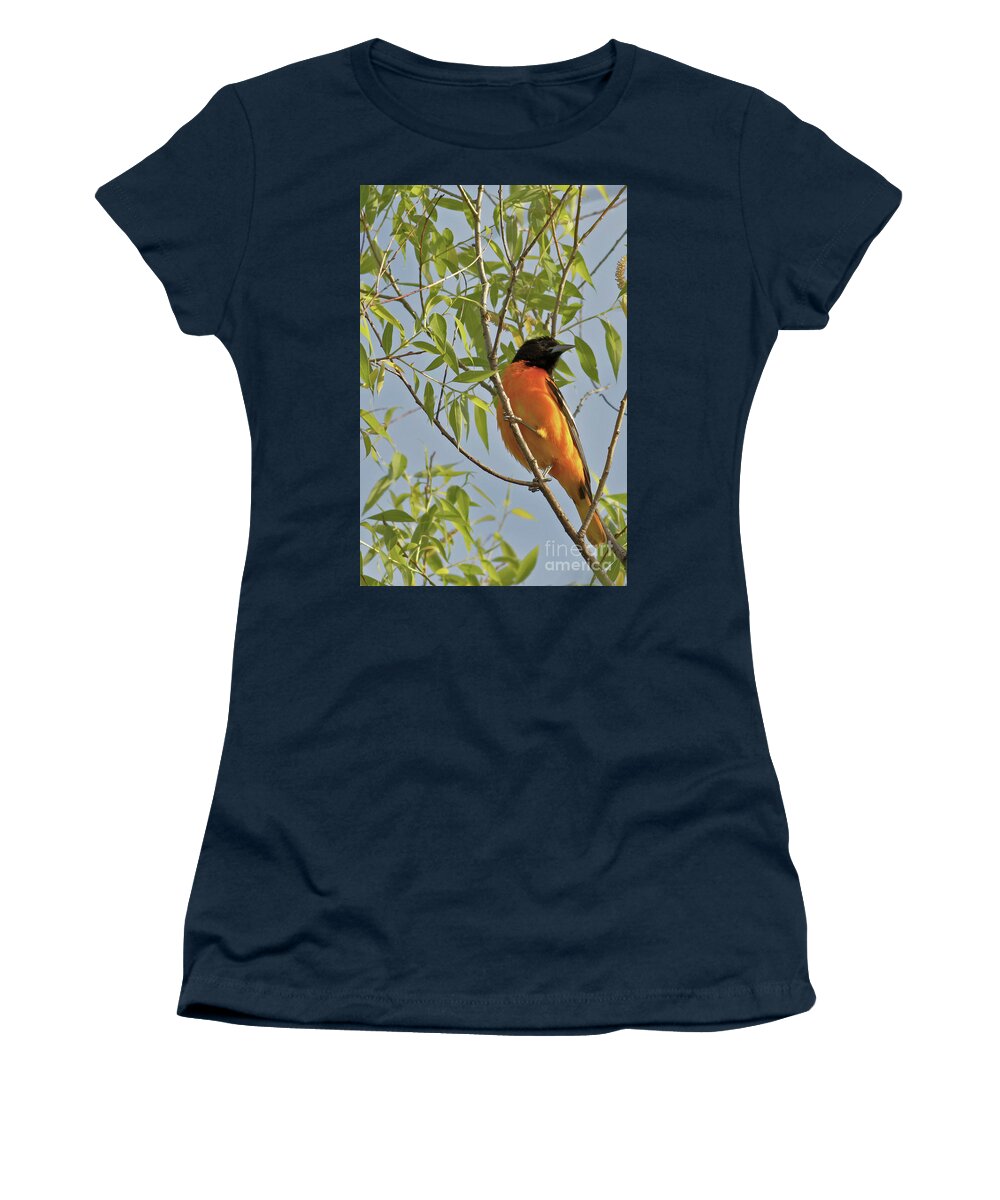 Baltimore Oriole Women's T-Shirt featuring the photograph Oriole Spring Color by Natural Focal Point Photography