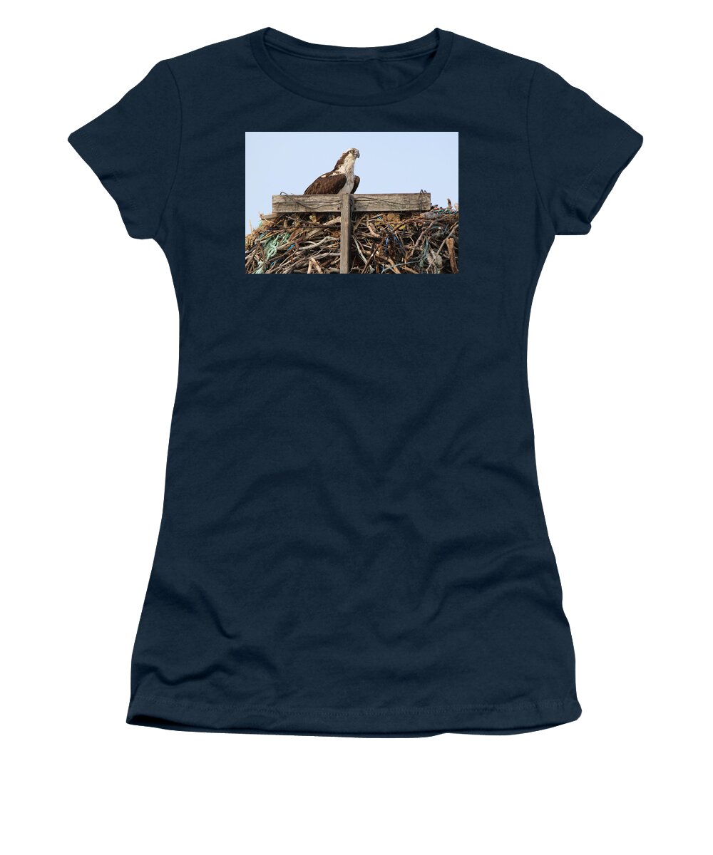 Osprey Women's T-Shirt featuring the photograph Osprey Port Jefferson New York by Bob Savage