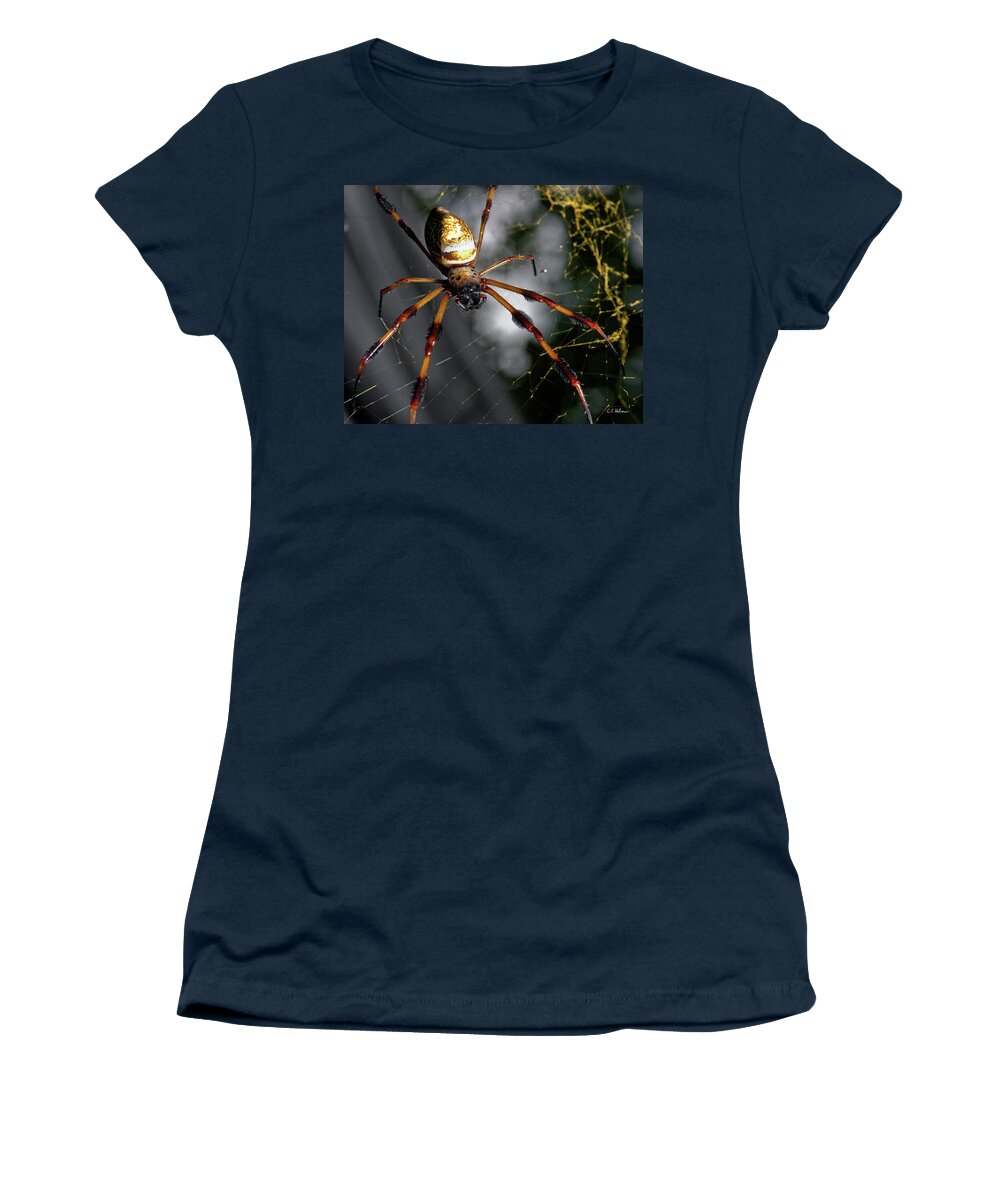 Spider Women's T-Shirt featuring the photograph Out Of The Dark by Christopher Holmes