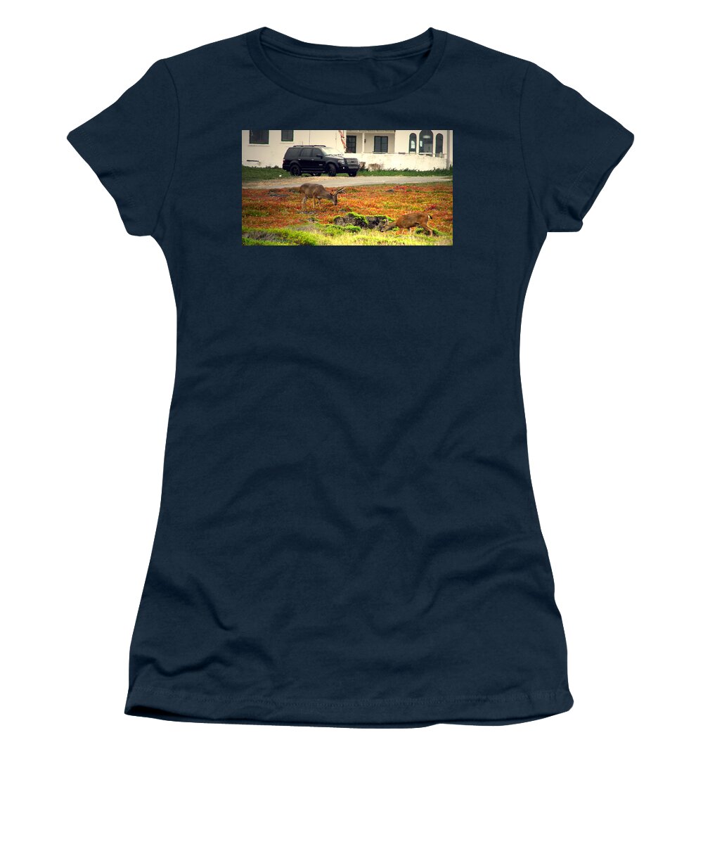 Deer Women's T-Shirt featuring the photograph Pacific Grove Deer In The Front Yard by Joyce Dickens