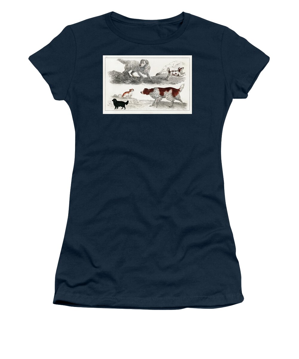 Adorable Women's T-Shirt featuring the drawing Pack of energetic dogs and playful puppies by Vincent Monozlay