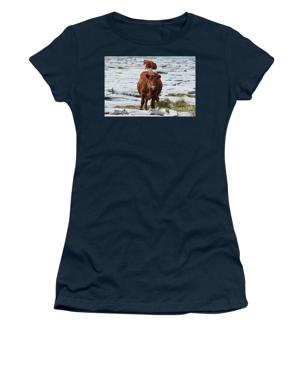 Cow Women's T-Shirt featuring the photograph Pair of Cows Grazing on the Burren in Ireland by DejaVu Designs