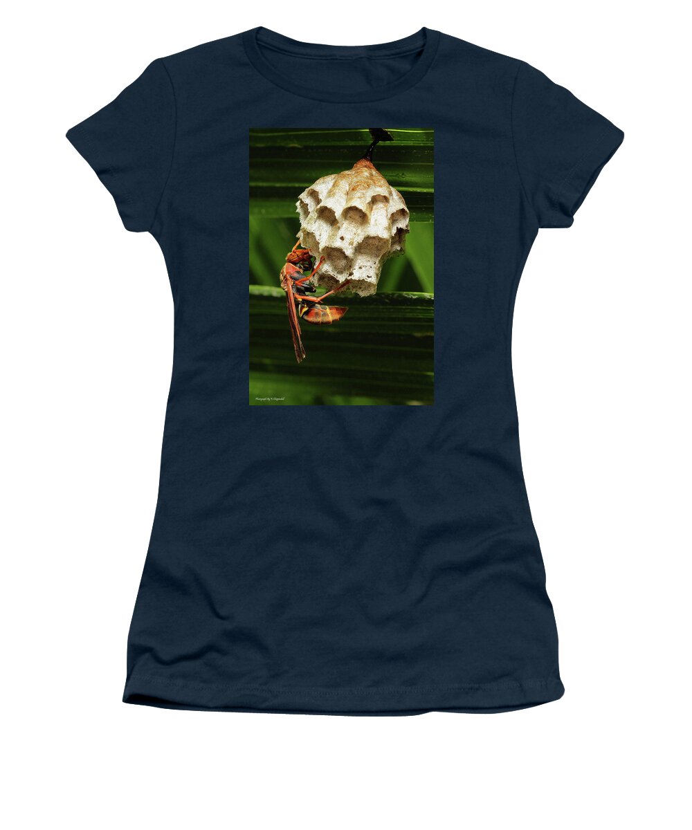 Paper Wasps Women's T-Shirt featuring the photograph Paper wasps 00666 by Kevin Chippindall