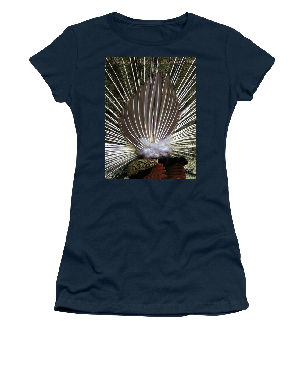 Peacock Women's T-Shirt featuring the photograph Peacock Back Fan by Helaine Cummins