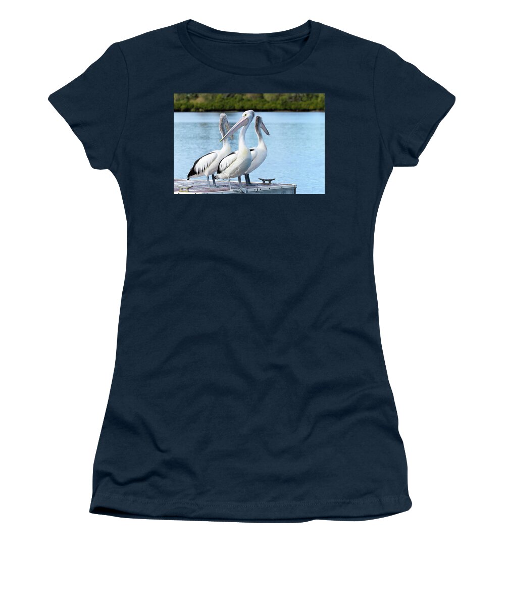 Pelicans Australia Women's T-Shirt featuring the photograph Pelicans 6663. by Kevin Chippindall