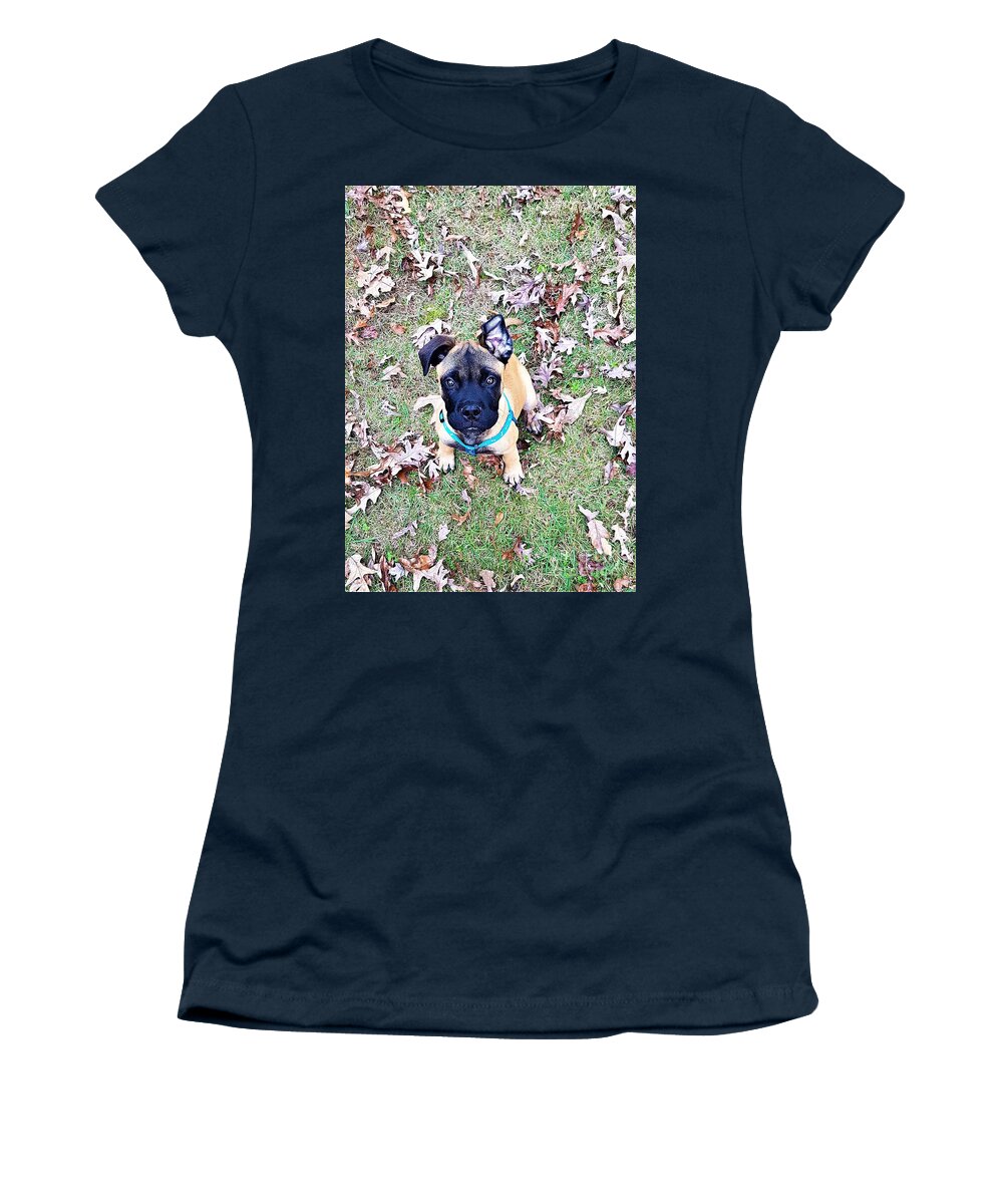 Bull Mastiff Women's T-Shirt featuring the photograph Piercing Eyes by Brianna Kelly