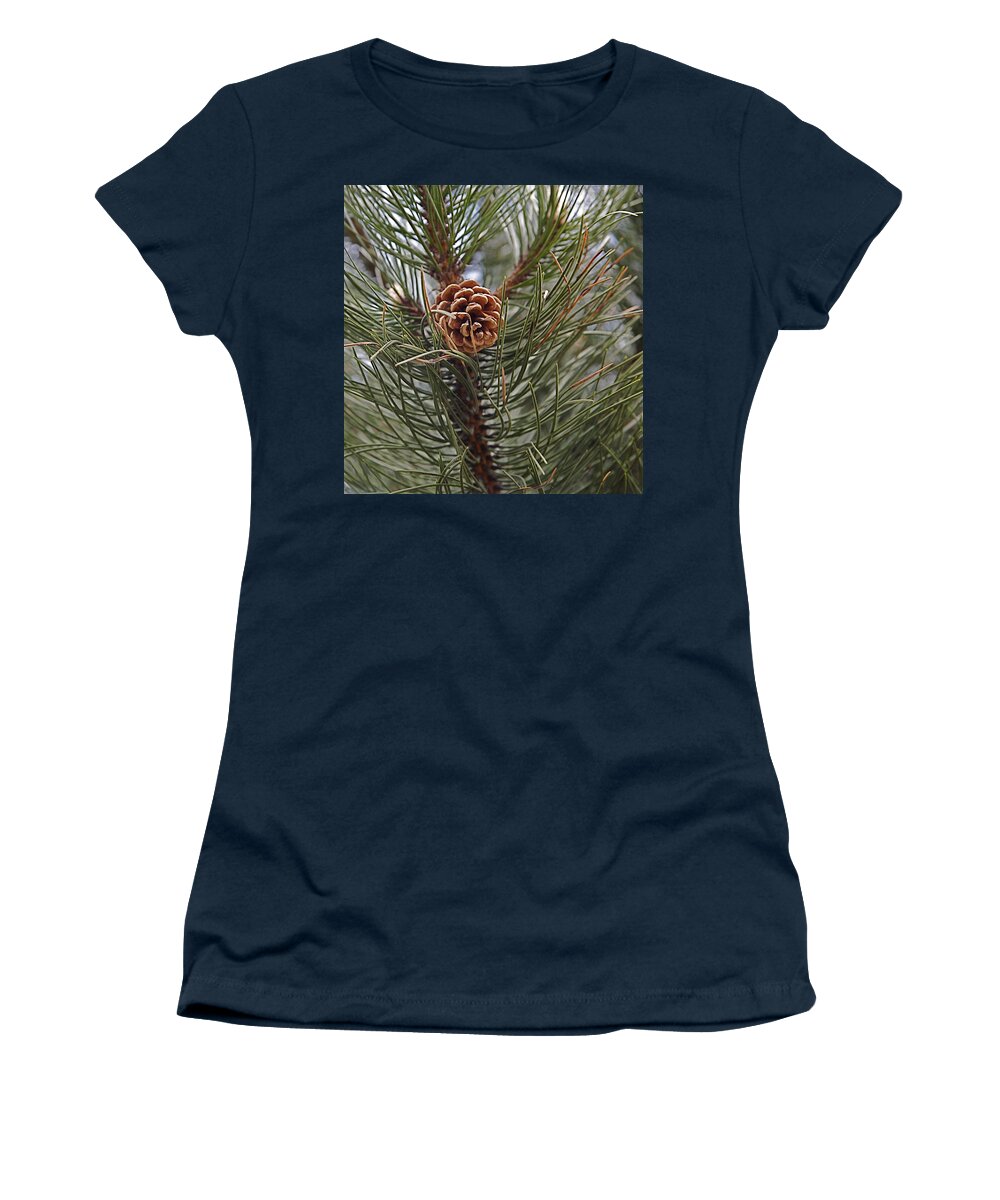  Women's T-Shirt featuring the photograph Pine cone by Christopher Rowlands