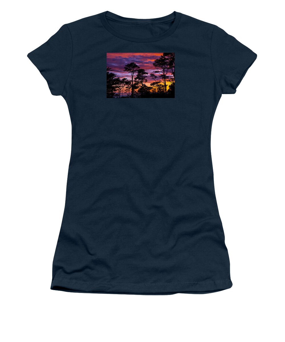 Trees Women's T-Shirt featuring the photograph Pine Forest Sunset by Derek Dean
