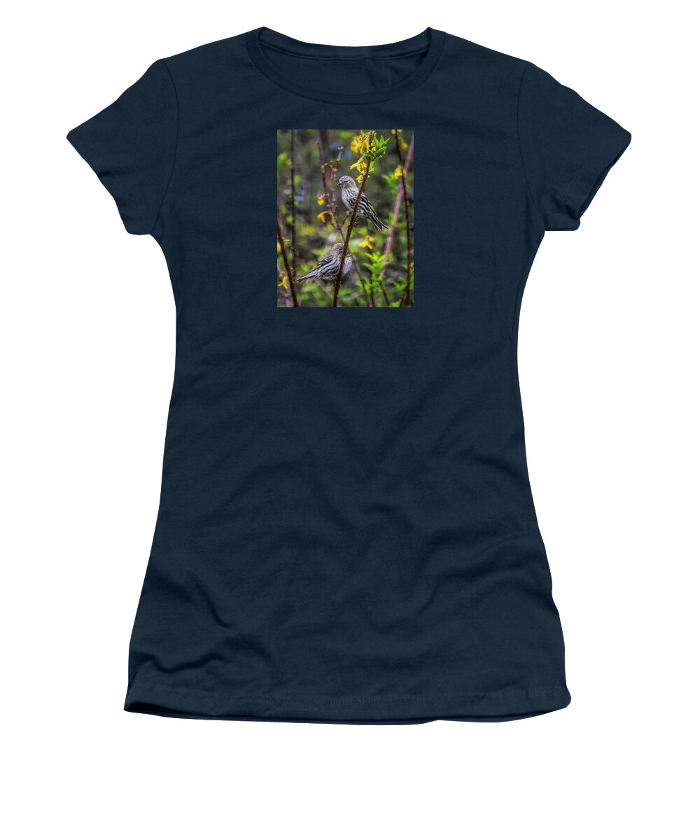 Pine Siskin Women's T-Shirt featuring the photograph Pine Siskin In SOuth Carolina by Bellesouth Studio