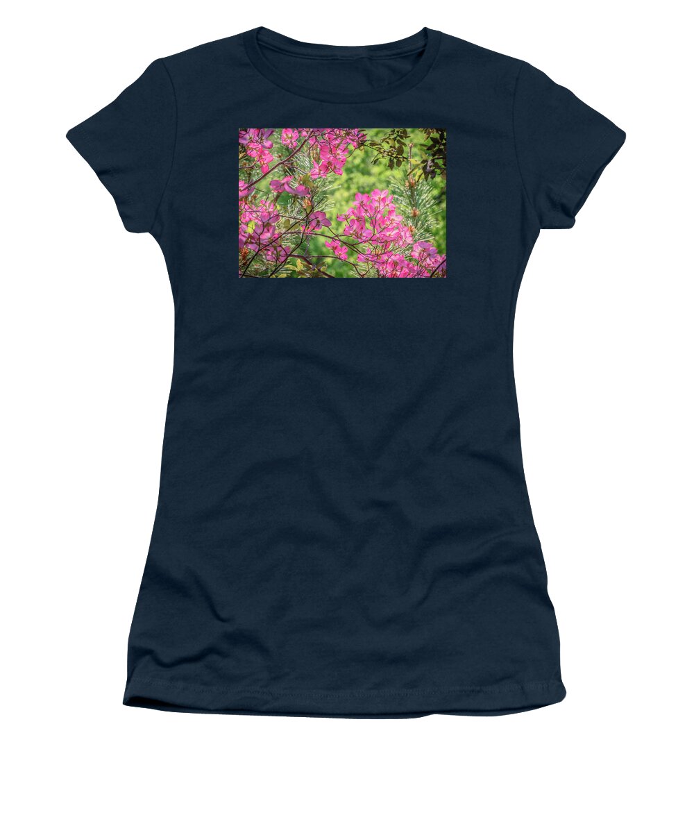 Dogwood Women's T-Shirt featuring the photograph Pink Glow by Steph Gabler