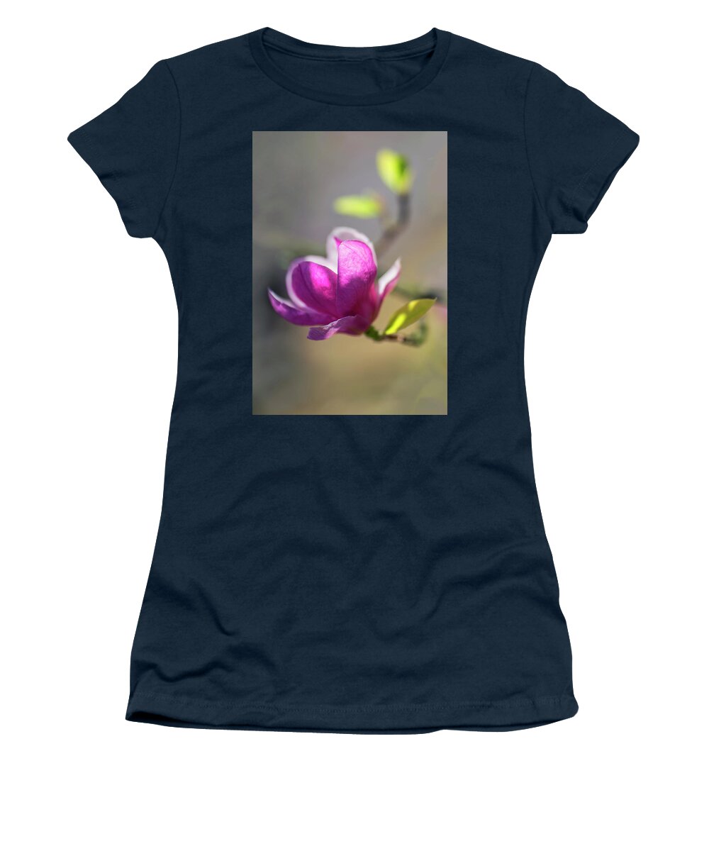 Magnolia Women's T-Shirt featuring the photograph Pink magnolia in the sunlight by Jaroslaw Blaminsky