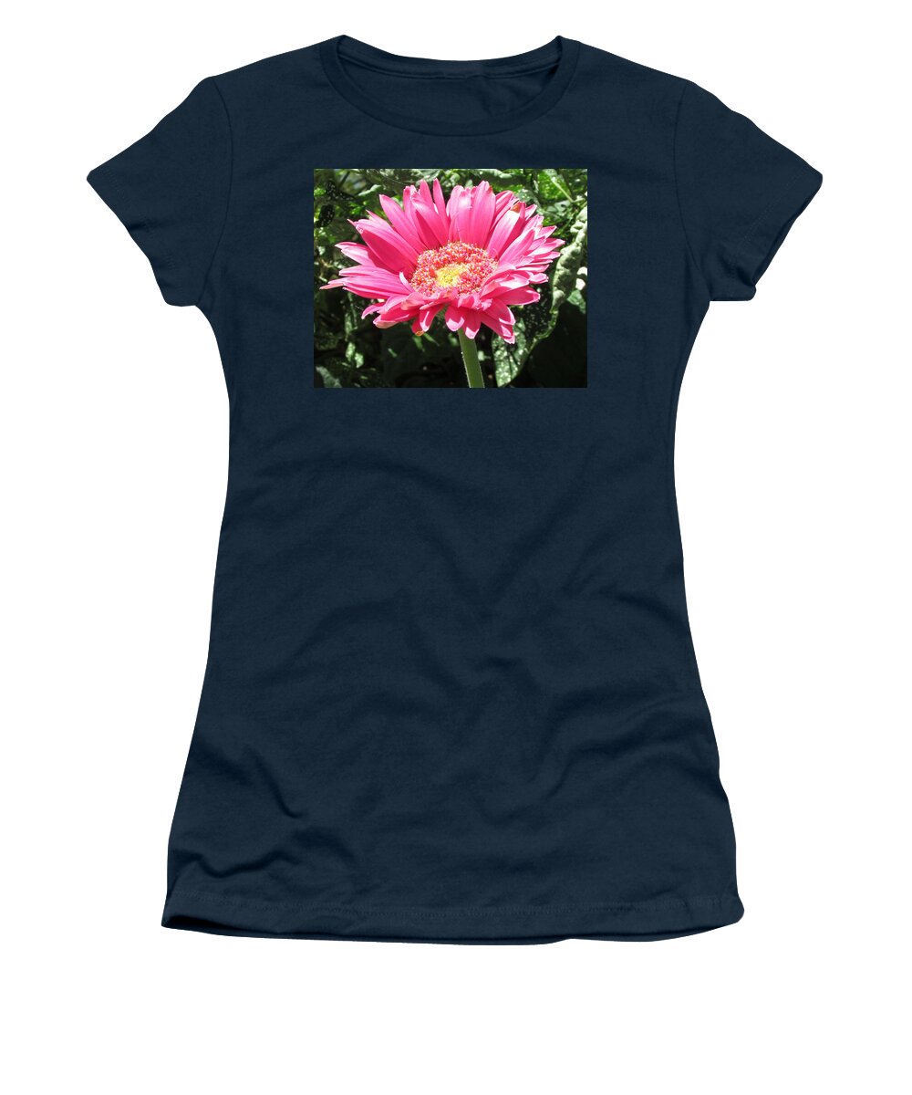 Pink Women's T-Shirt featuring the photograph Pink by Tambra Nicole Kendall