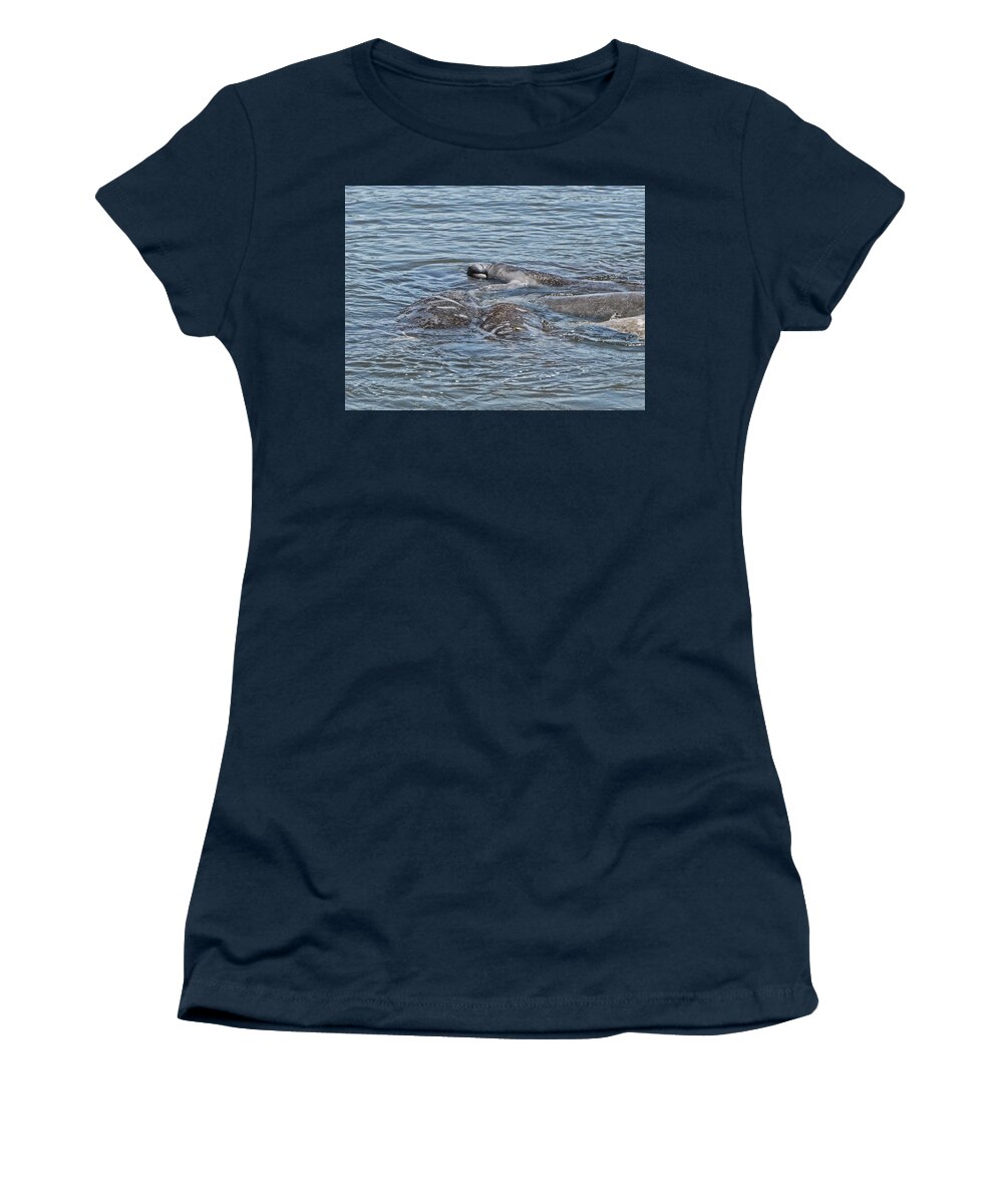 Manatee Women's T-Shirt featuring the photograph Playful Manatees by Christopher Mercer