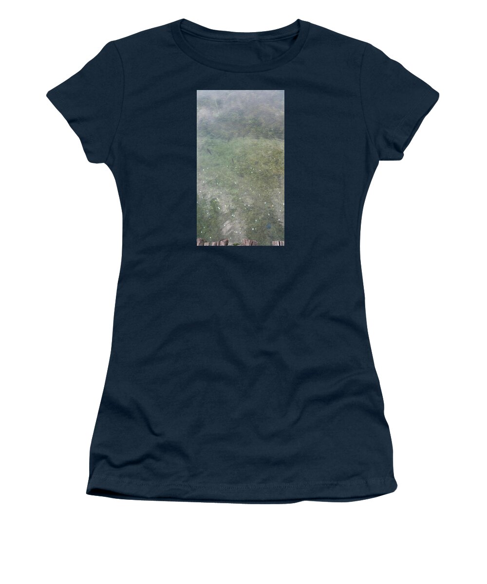  Women's T-Shirt featuring the photograph Plitvice Lakes, Croatia 13 Array of Fish by Zachary Lowery