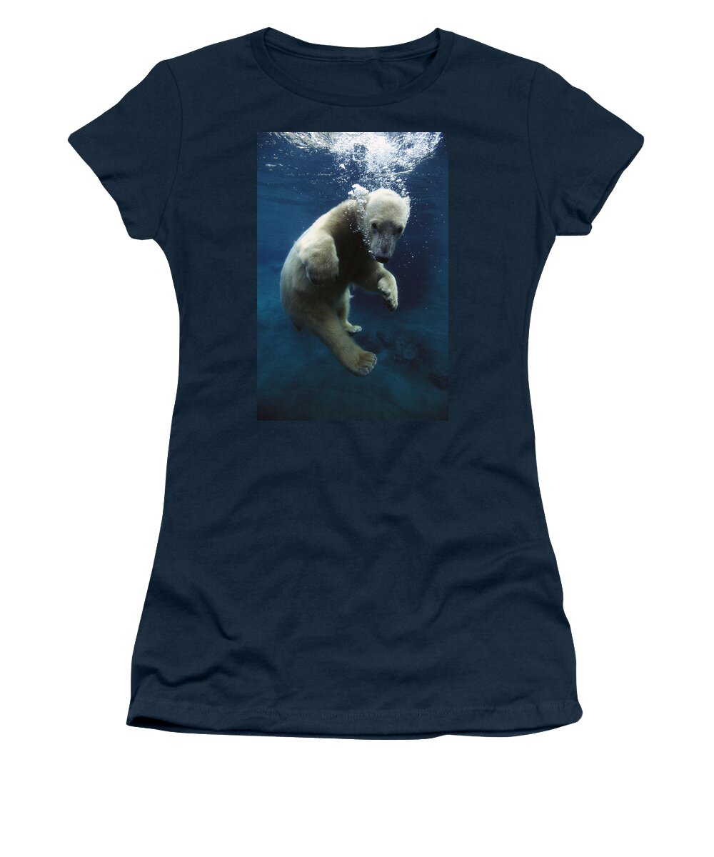 Mp Women's T-Shirt featuring the photograph Polar Bear Ursus Maritimus Cub by San Diego Zoo