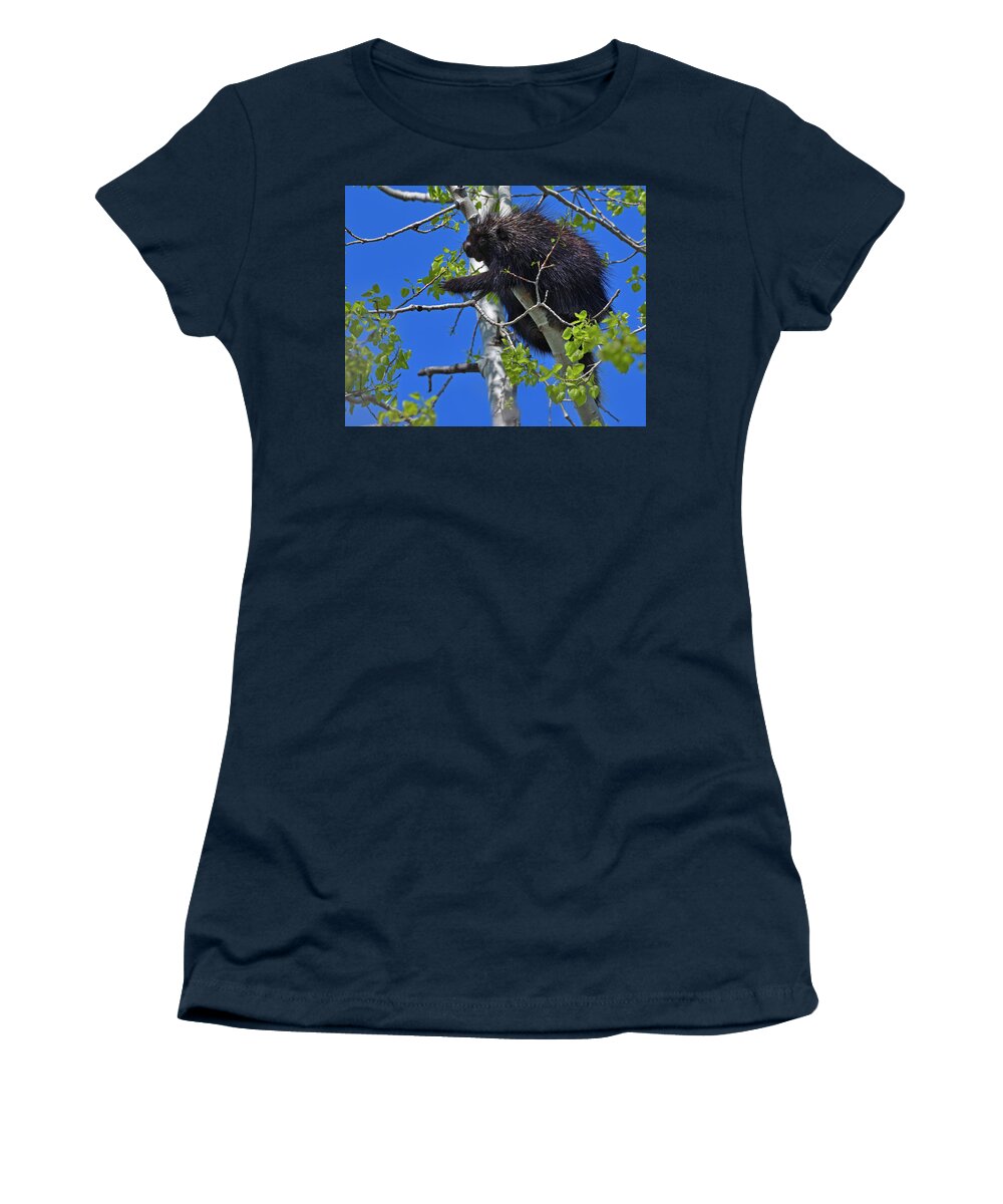 North American Porcupine Women's T-Shirt featuring the photograph Poplar Breakfast by Tony Beck
