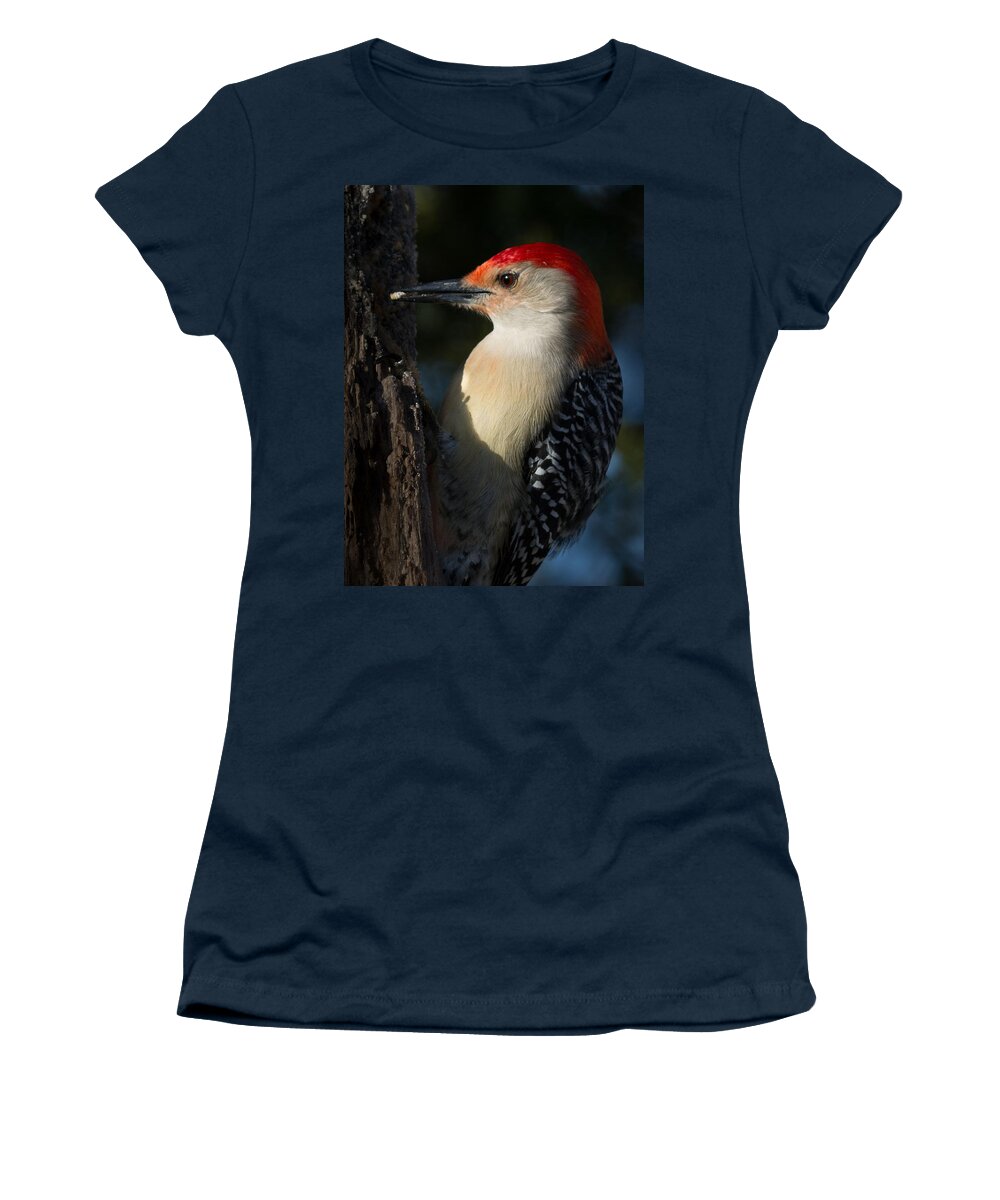 Red-bellied Woodpecker Women's T-Shirt featuring the photograph Portrait of a Woodpecker by Kenneth Cole