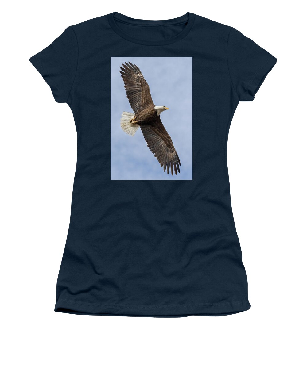 Bald Eagle Women's T-Shirt featuring the photograph Portrait of Freedom's Flight by Tony Hake
