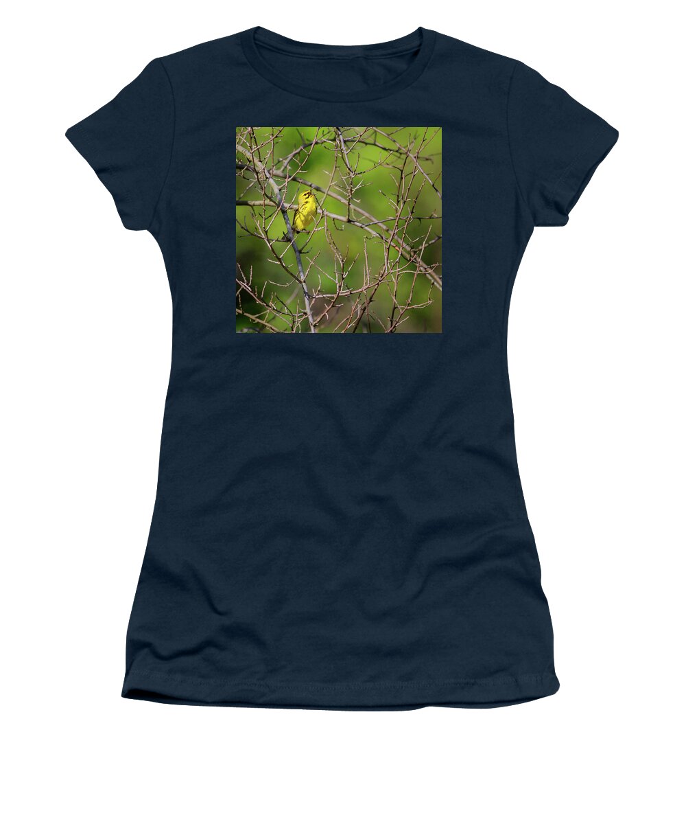 Square Women's T-Shirt featuring the photograph Prairie Warbler square by Bill Wakeley