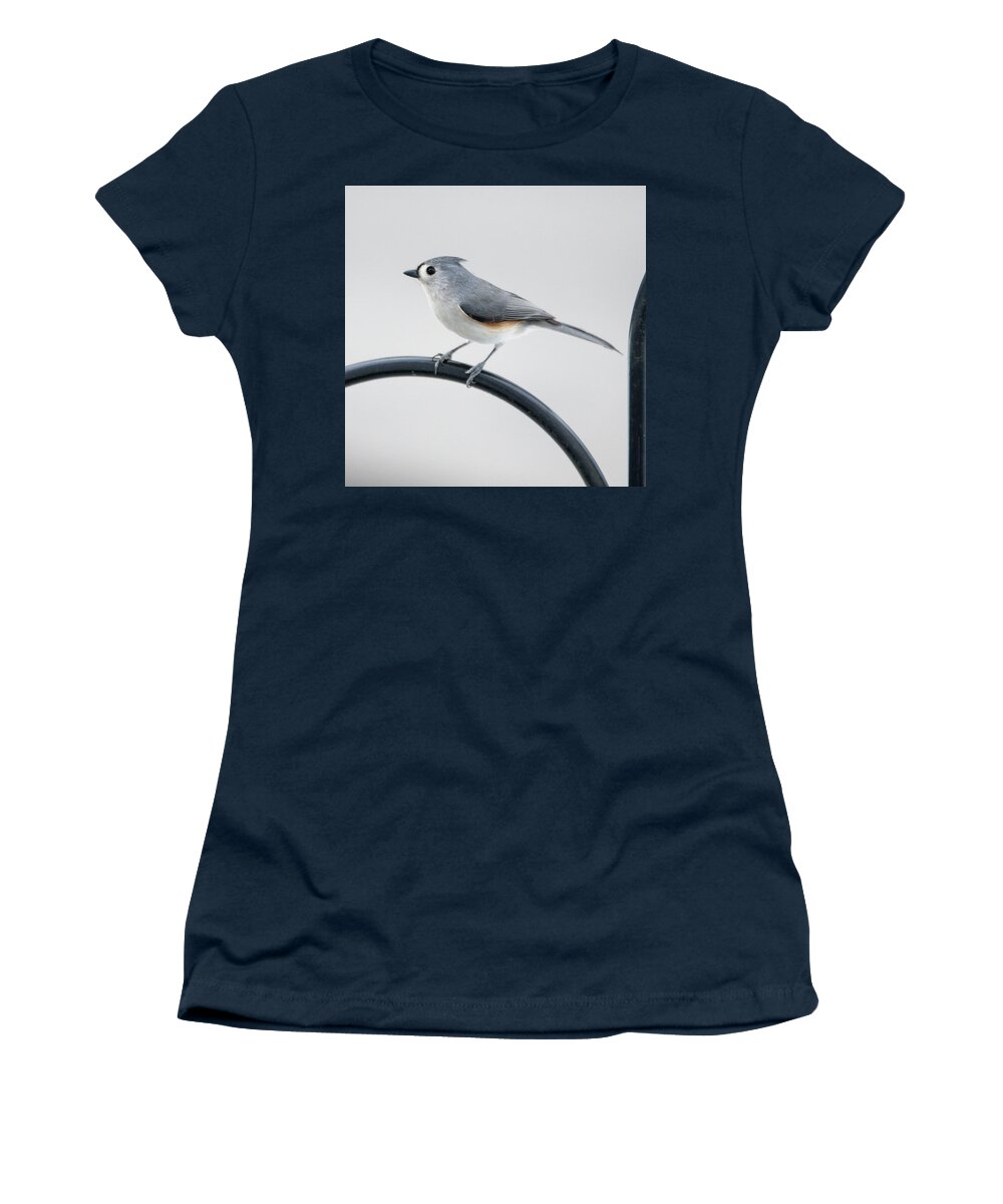 Bird Women's T-Shirt featuring the photograph Profile of a Tufted Titmouse by Darryl Hendricks