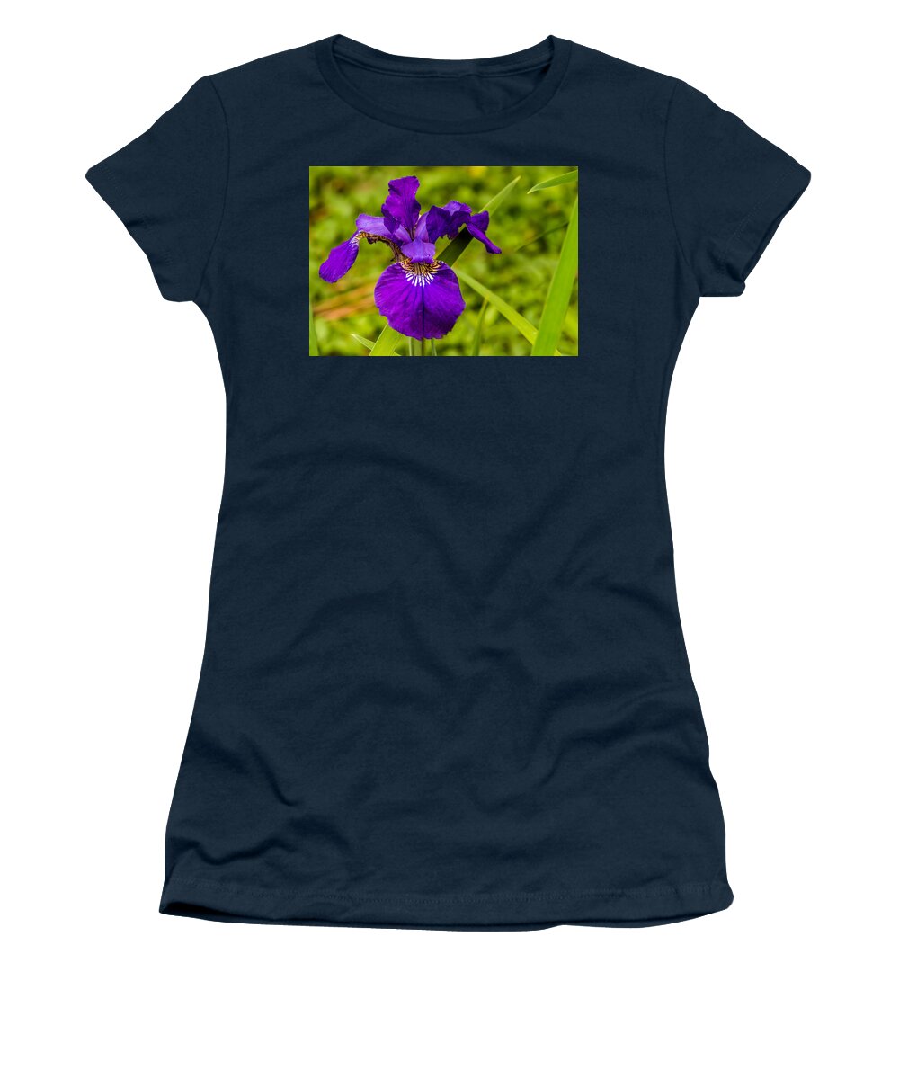 Purple Women's T-Shirt featuring the photograph Purple Beauty by Ed Clark