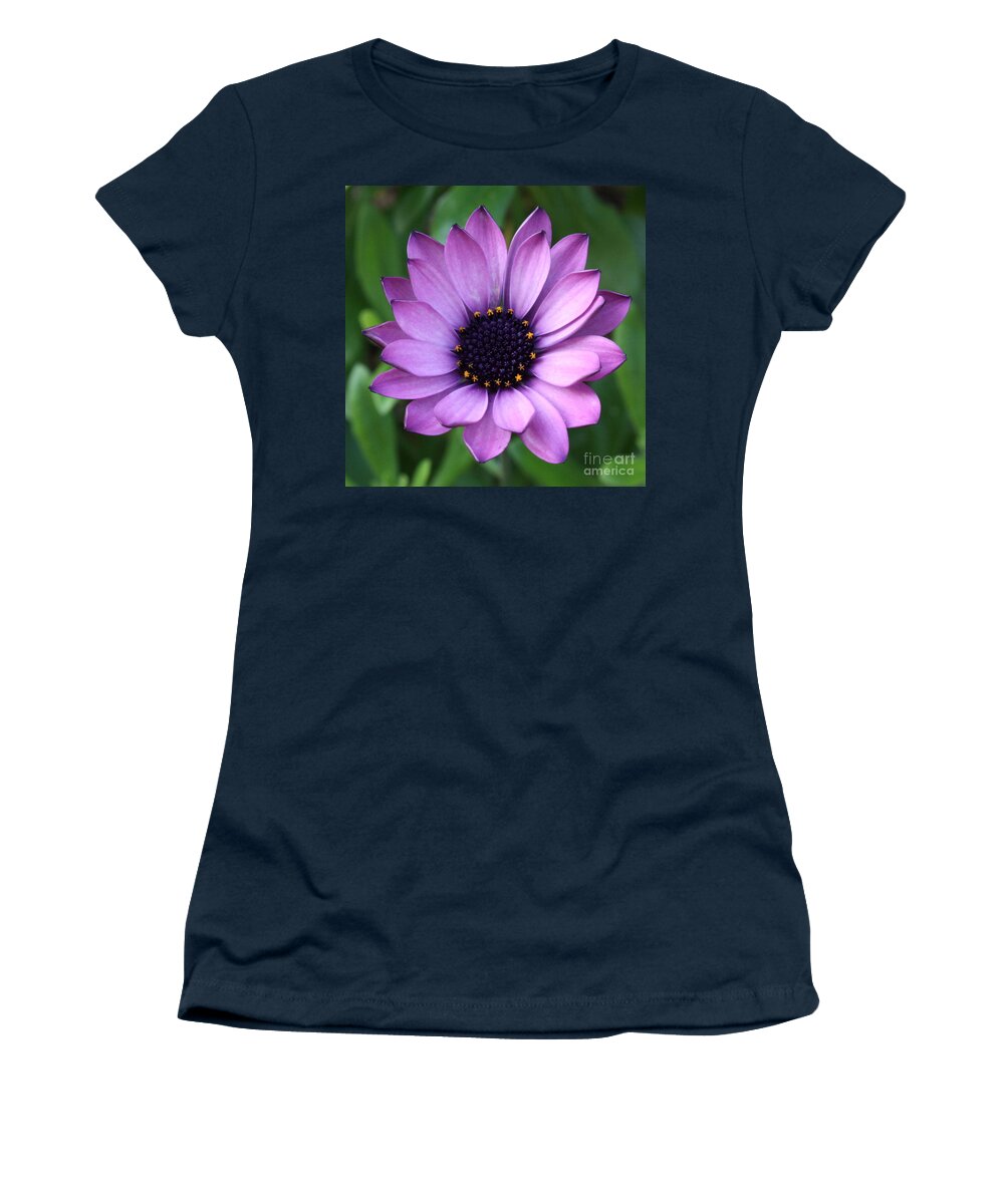 Purple Flower Women's T-Shirt featuring the photograph Purple Daisy Square by Carol Groenen