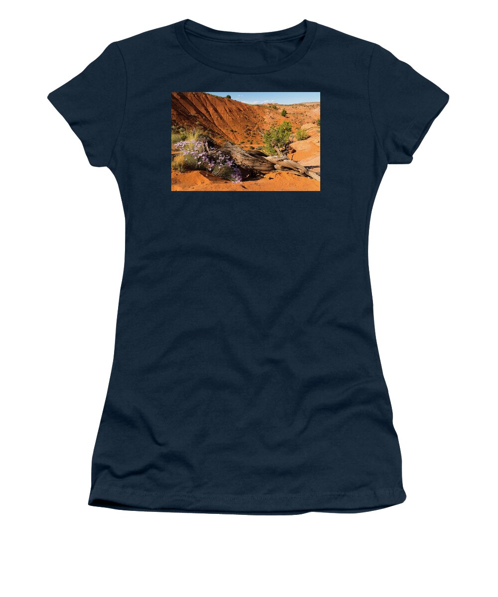 Utah Women's T-Shirt featuring the photograph Purple Wildflowers Grand Staircase-Escalante Utah by Lawrence S Richardson Jr